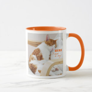 Taza Here i want to stay! - gatos foto Kaffeetasse
