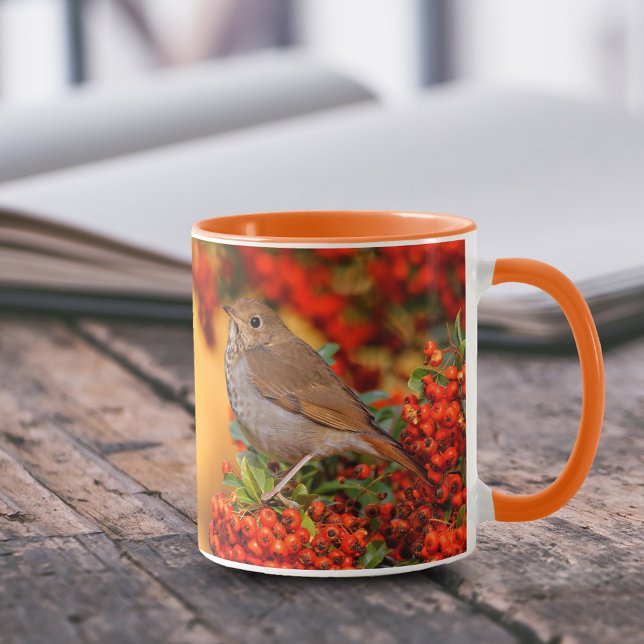 Taza Hermit Thrush Songbird en Scarlet Firethorn (Hermit Thrush on Pyracantha Shrub 11 oz Coffee Mug Cover Photo.)