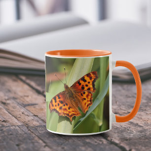 Taza Hermosa mariposa Naranja Satyr Comma