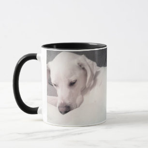 Taza Hermosa Sleepy Labrador Blanco Recuperador Perro M