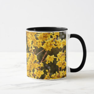Taza Hermoso arbusto de Forsythia