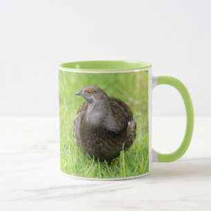 Taza Hermoso Gamebird de lujo en la hierba