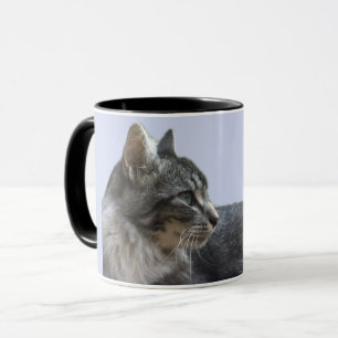Taza Hermoso Gato Recostado