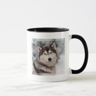 Taza Hermoso Husky al aire libre
