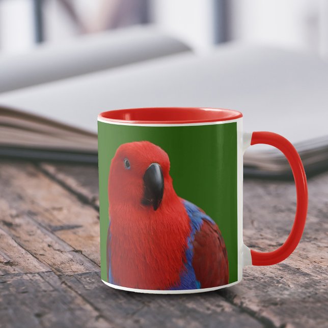 Taza Hermoso "Lady in Red" Eclectus Parrot (Lady in Red Female Eclectus Parrot 11 oz Coffee Mug Cover Photo.)