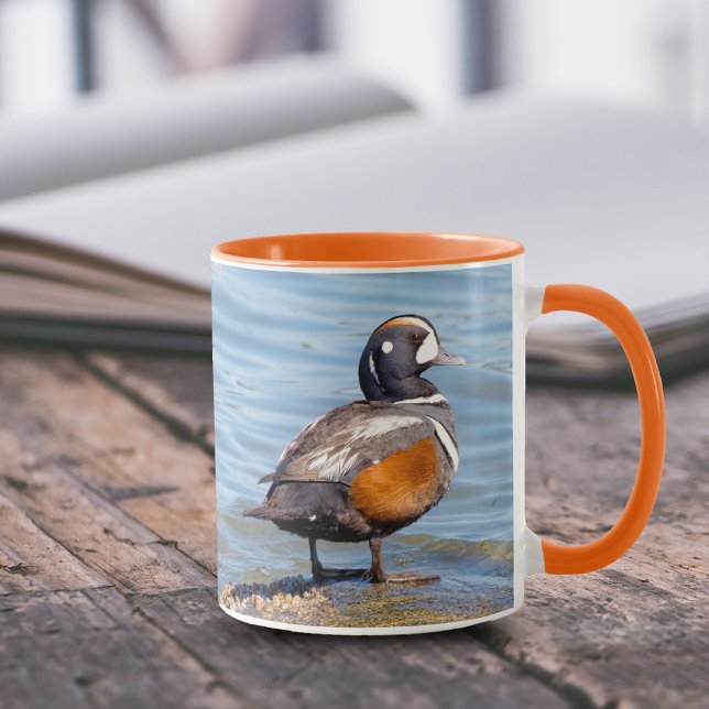 Taza Hermoso pato Harlequin en la roca (Harlequin Duck on the Rocks 11 oz Coffee Mug Cover Photo.)