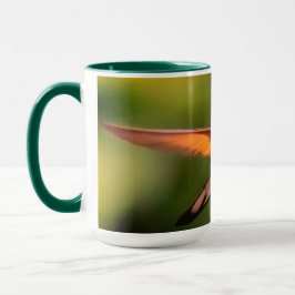 Taza Hermosos colibríes