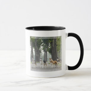 Taza Hermosos perros Husky en un sendero natural