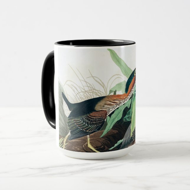 Taza Heron verde por John James Audubon (Anverso izquierdo)