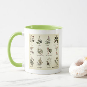 Taza Hierbas y especias