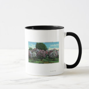 Taza Highland Park Lilacs en Bloom