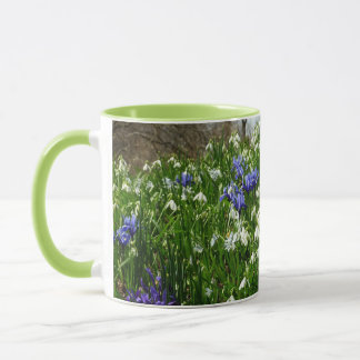 Taza Hillside of Early Spring Flowers Landscape