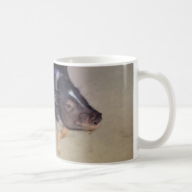 Taza hinchada pote divertido de la fotografía del (Derecha)