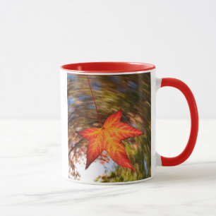 Taza Hoja que cae de un árbol en otoño
