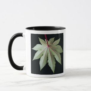 Taza Hoja y tronco