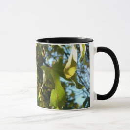 Taza Hojas de arce, otoño, otoño