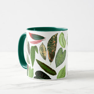 Taza Hojas de vegetación vírgenes botánicas