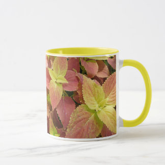 Taza Hojas llamativas del coleo