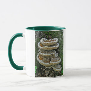 Taza Hongos estantes en Stump
