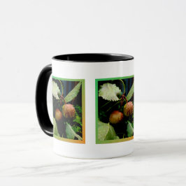 Taza Hora de Apple