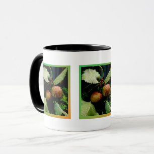 Taza Hora de Apple
