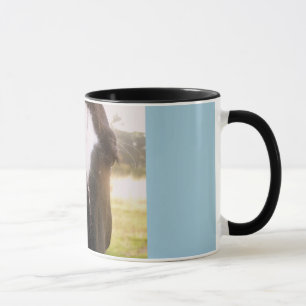Taza Horse Mug