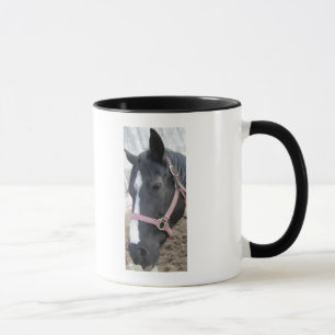 Taza Horse Whisperer