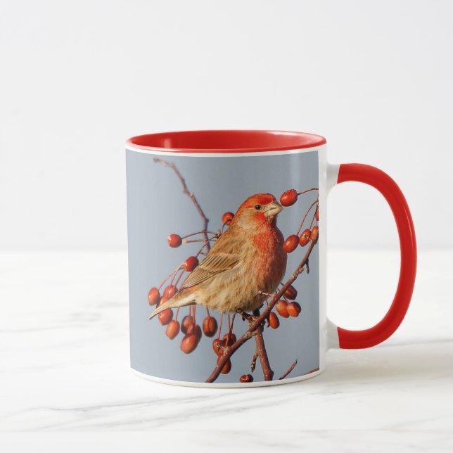 Taza House Finch con Hawthorn Berries (Derecha)