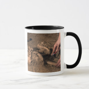 Taza Humano permanece