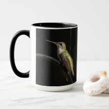 Hummingbirds sobre negro