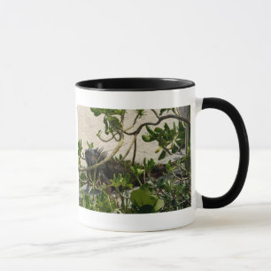 Taza Iguana