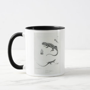 Taza Iguana escalonada