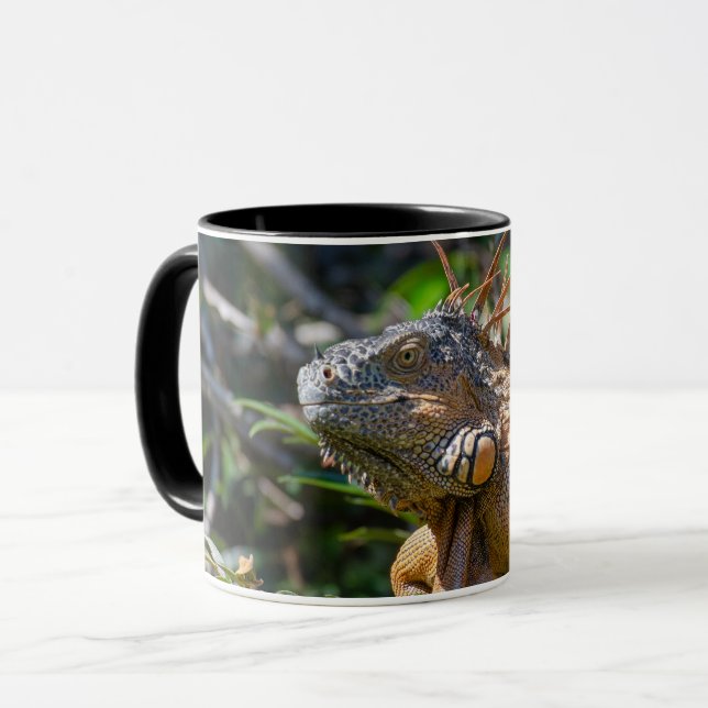 Taza Iguana Naranja de Belice - Arte fotográfico (Anverso izquierdo)