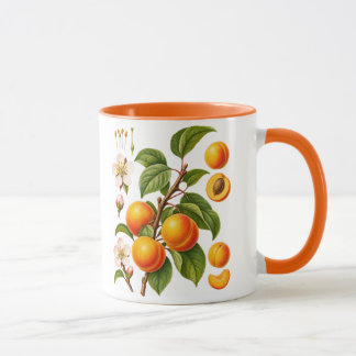 Taza Ilustración Botánica Vintage de Albaricoque
