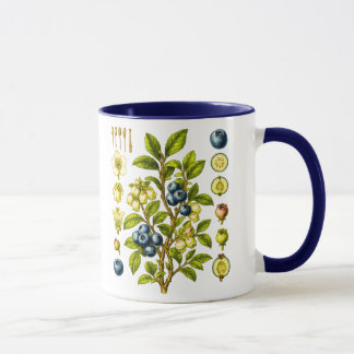 Taza Ilustración Botánica Vintage de Arándano Azul