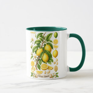 Taza Ilustración Botánica Vintage de Limón