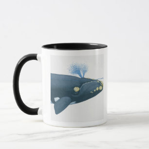 Taza Ilustracion de la ballena derecha de North Pacific