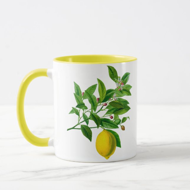 Taza Ilustracion de limón botánico de época (Izquierda)