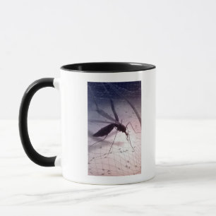 Taza Ilustracion de morder del mosquito