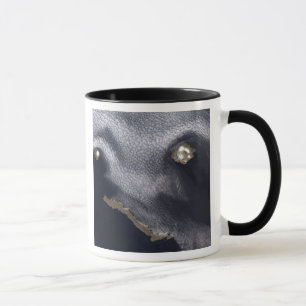 Taza Imagen por satélite de la isla de Semisopochnoi