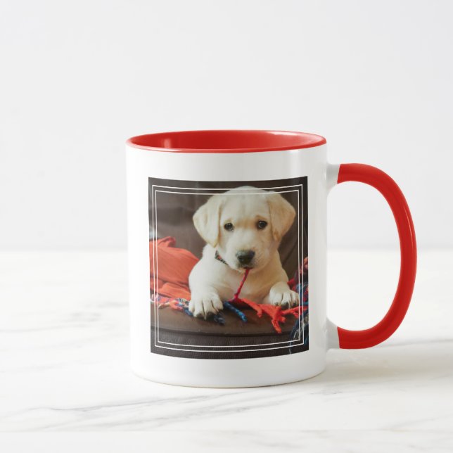 Taza Imágenes de Getty| Cachorro En Un Sofá (Derecha)