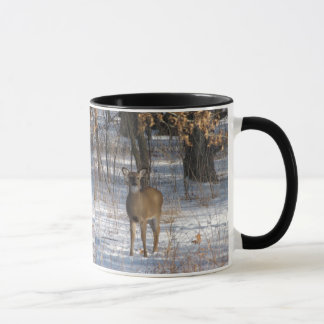 TAZA IMG_0532, IMG_0532