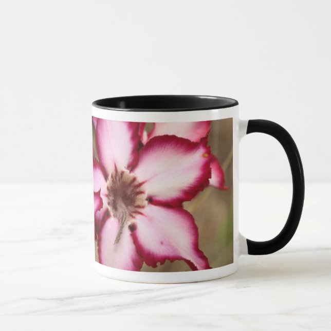 Taza Impala Lily (Adenium Multiflorum), Kruger (Derecha)