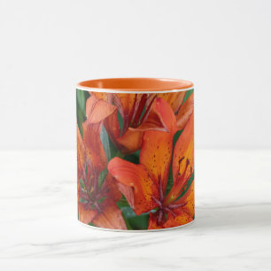 Taza Impresión botánica de Hemerocallis, fotografía can