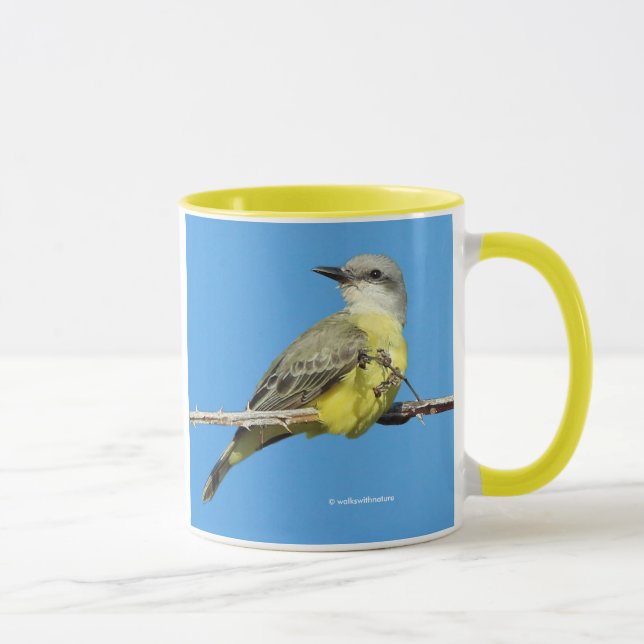 Taza Impresionante ave tropical en rama de Blackberry (Derecha)