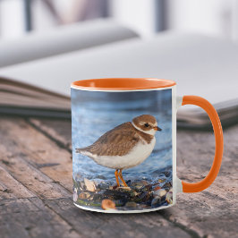 Taza Impresionante Plover Shorebird