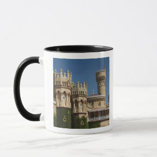 Taza INDIA, Karnataka, Bangalore: Palacio de Bangalore