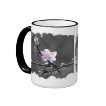 Indirecta de la flor de cerezo rosada