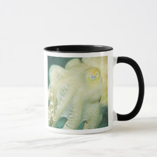 Taza Indonesia, provincia de Célebes Meridional, Wakato