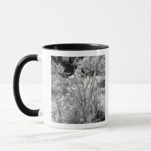 Taza Infrarrojo de árboles edificios y senderos en Las 